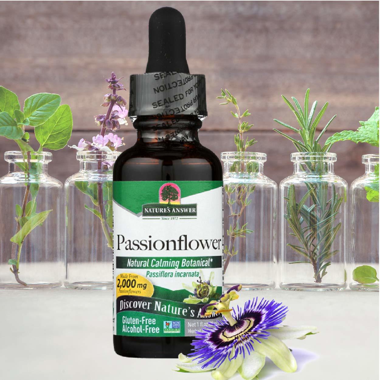 Passion flower Supplement Review At the 1 Online Guide to the Best